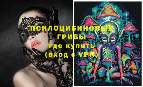 apvp Верхний Тагил
