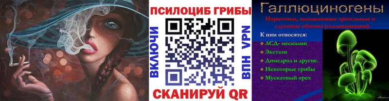 где купить наркоту  hydra зеркало  Галлюциногенные грибы MAGIC MUSHROOMS  Ростов-на-Дону 