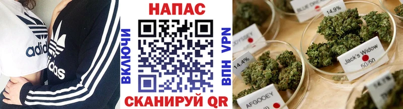 Каннабис марихуана  ссылка на мегу онион  Ростов-на-Дону 